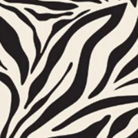 Bandana - Image 4